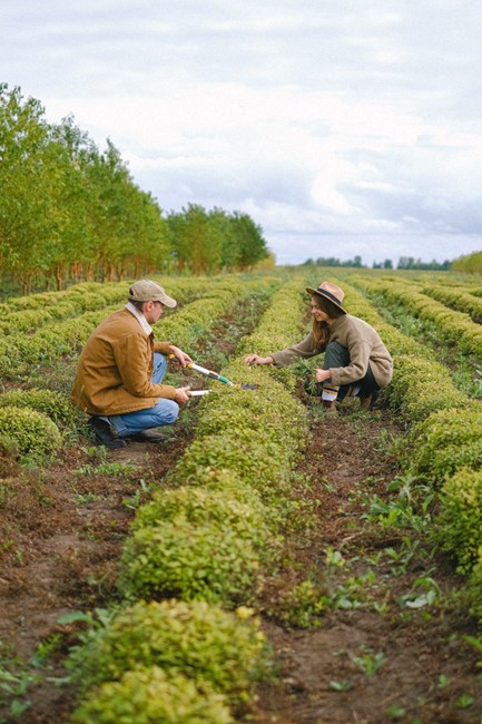 An image of two people kneeling and working in a field